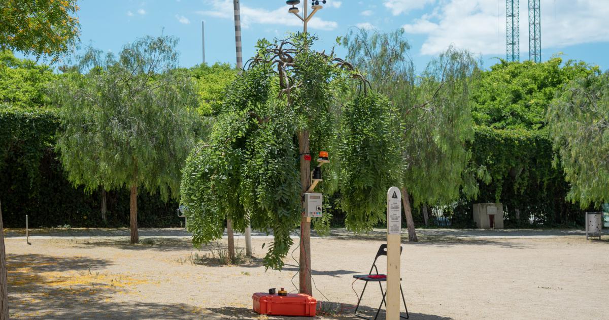 Thumbnail of Autonomous Tree