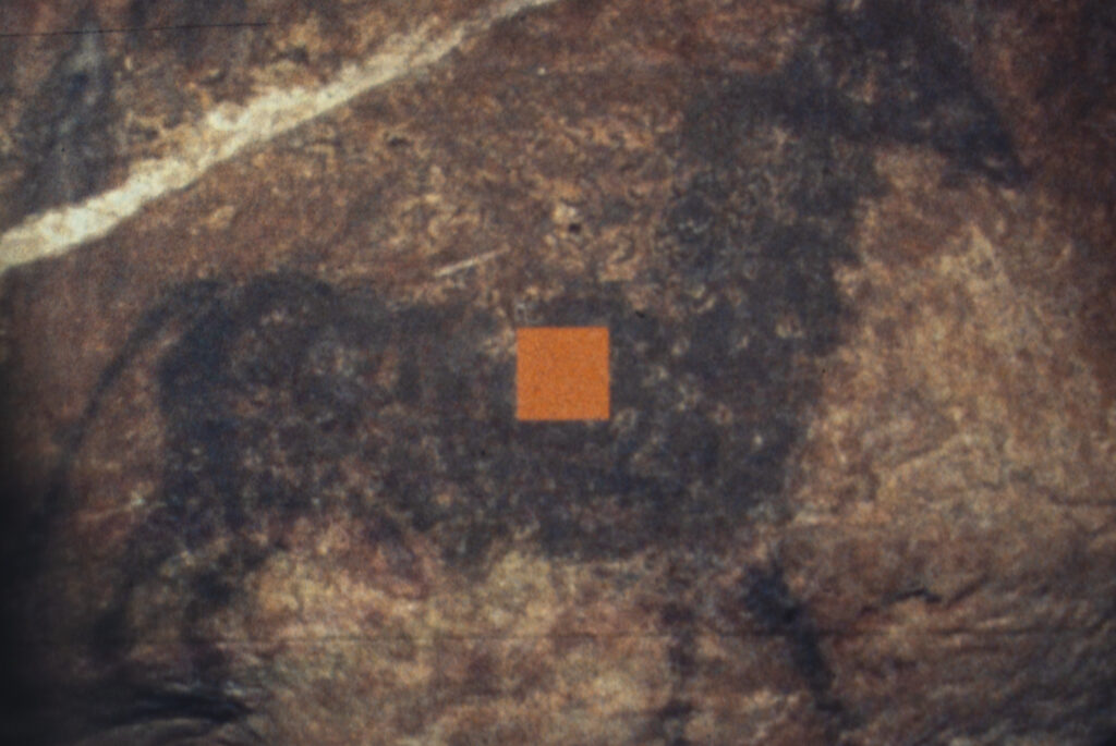 Thumbnail of Museum of Color – Stephanie Kryzwonos