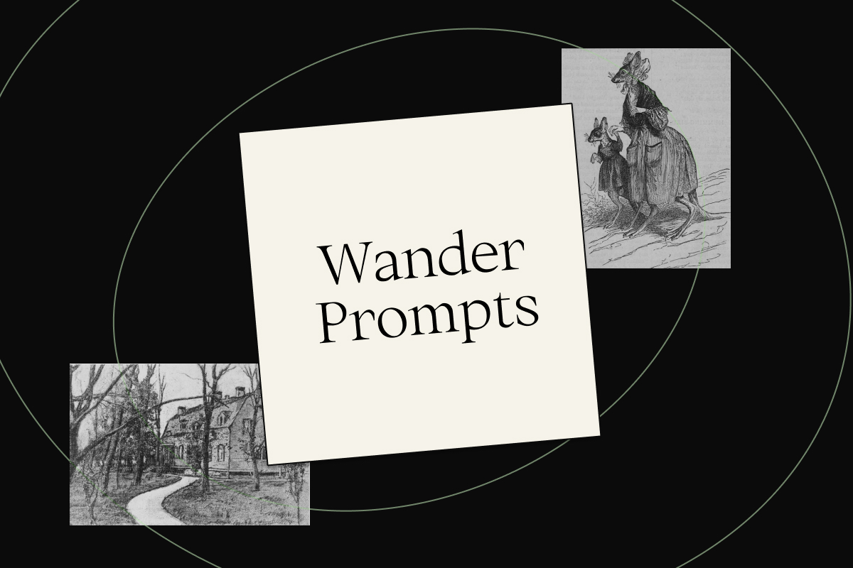 Thumbnail of Wander Prompts