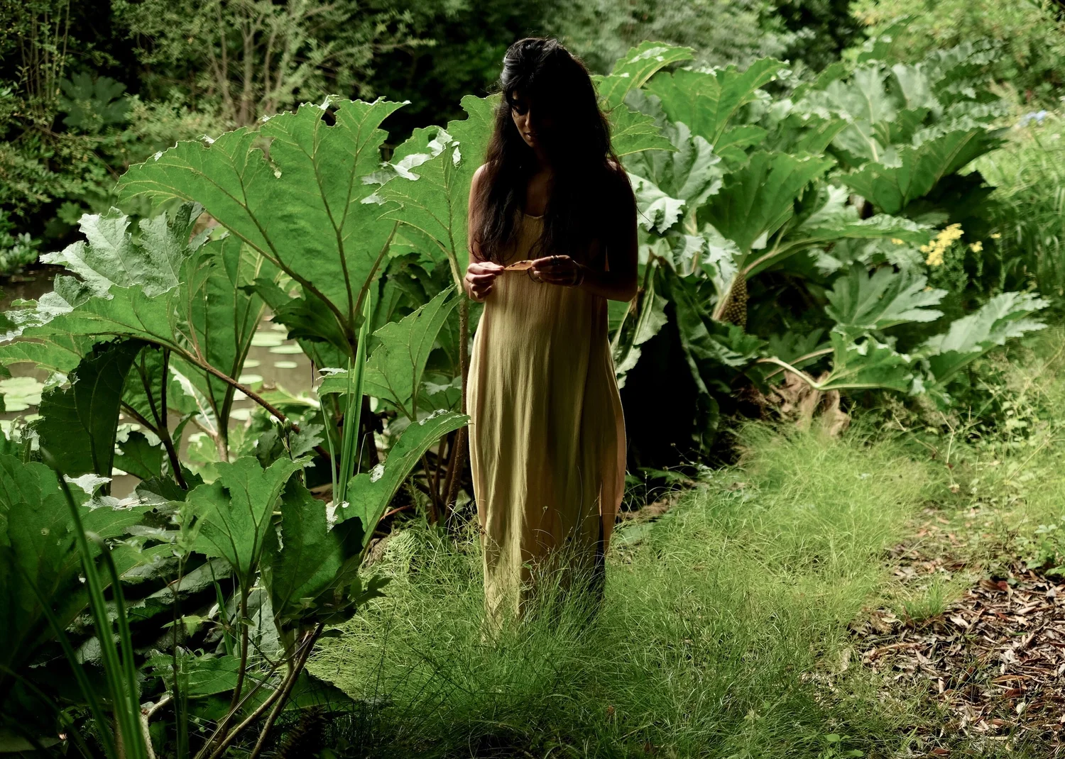 Thumbnail of Amrita Kaur Bhohi