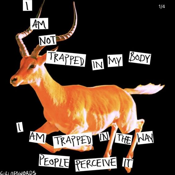 Thumbnail of Lohan fmn