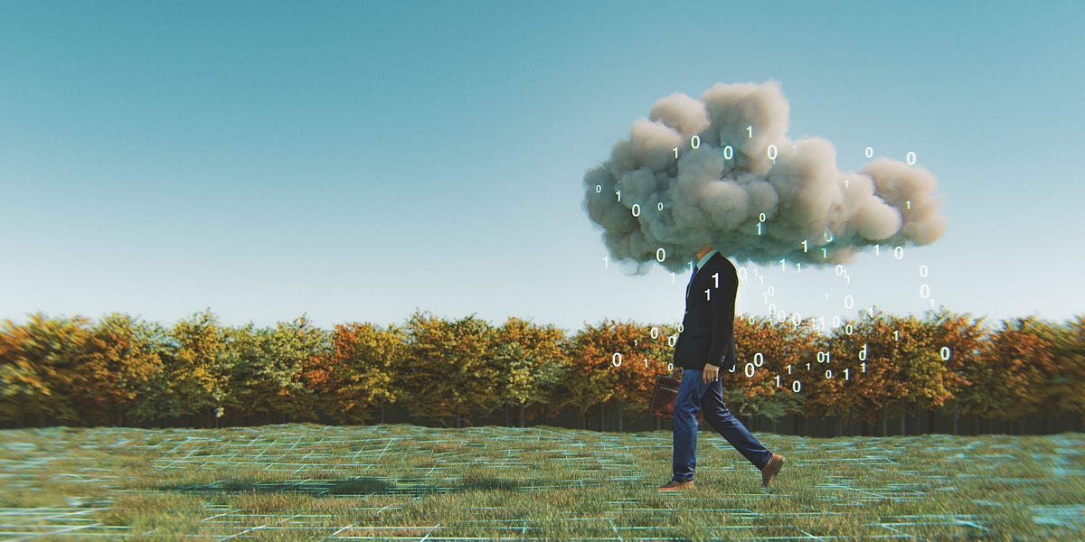 Thumbnail of The Intellectual Obesity Crisis