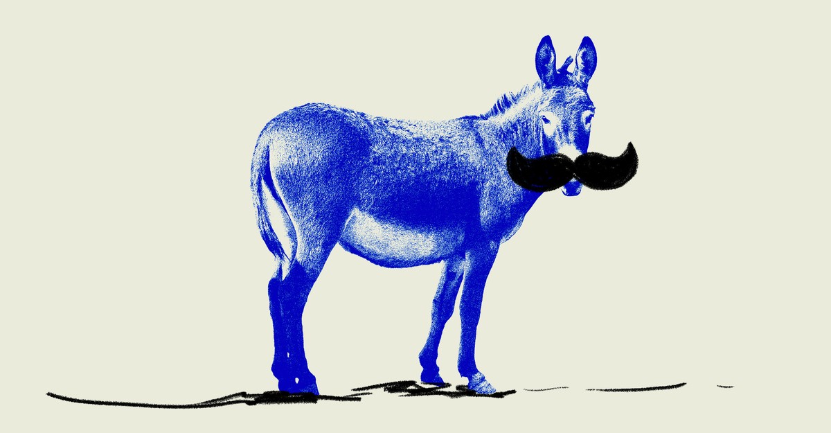 Thumbnail of Democrats Have a Man Problem