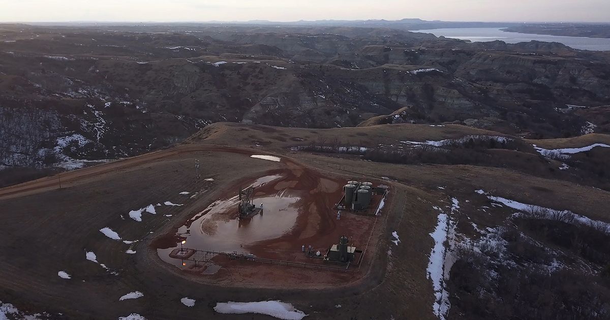 Thumbnail of Ecologies of Care: A Conversation - Journal #157