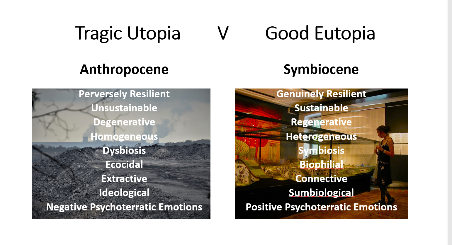Thumbnail of Eutopia and the Symbiocene