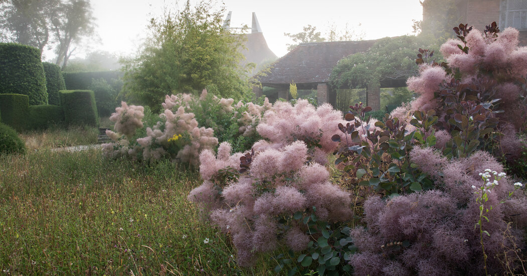 Thumbnail of The 25 Essential Gardens to See in Your Lifetime