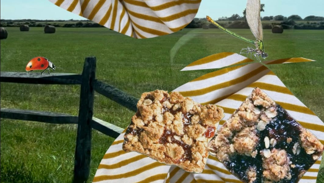 Thumbnail of Jam Bars