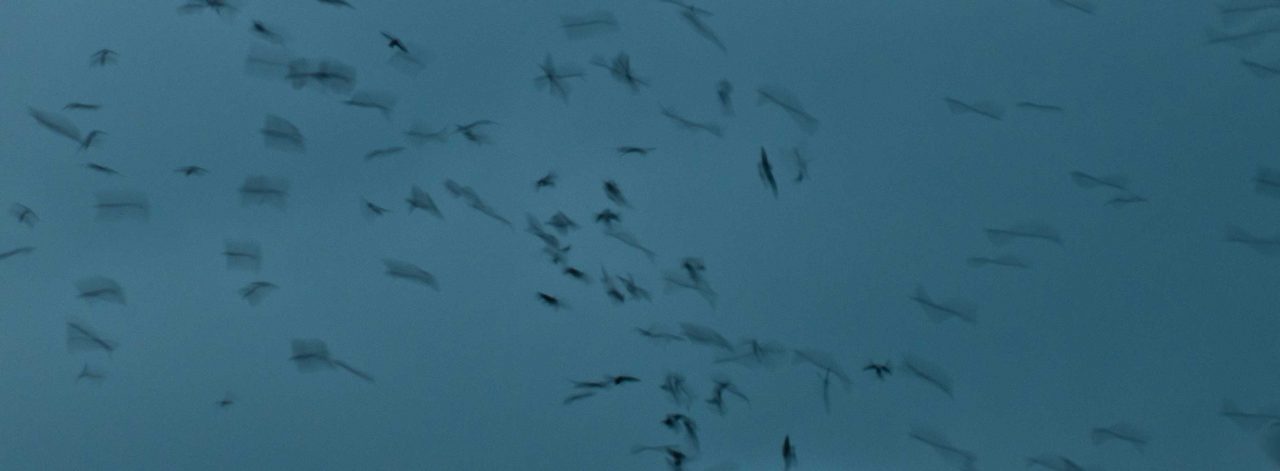 Thumbnail of Though I Have Never Been to Ostia, I Have Seen the Place Where Our Dreams Died | Momtaza Mehri | Granta