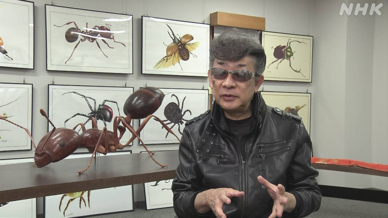 Thumbnail of ヒアリの飼育始まる 早期発見や防除研究 日本初の実験施設で | NHK