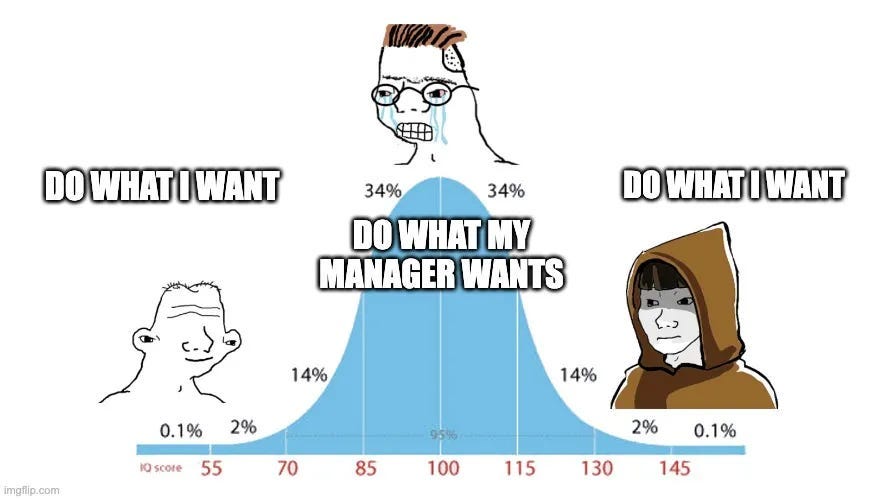 Thumbnail of The Valuable Employee Paradox