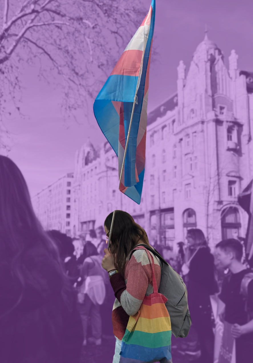 Thumbnail of When diversity troubles the powerful: Hungary and the Budapest Pride Ban - Lazy Women