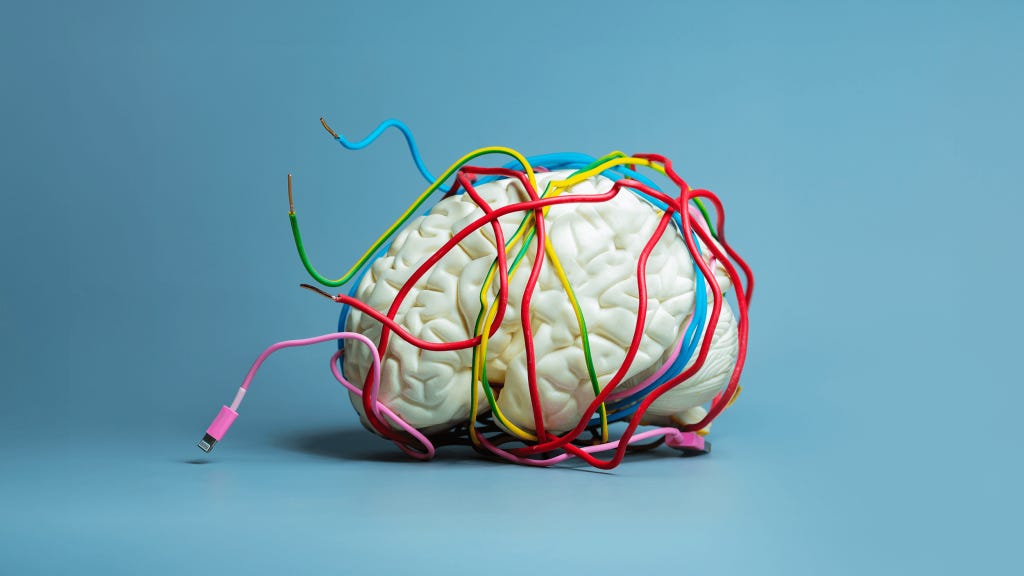 Thumbnail of How curiosity rewires your brain for change