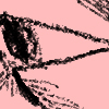 Thumbnail of Matt Bollinger