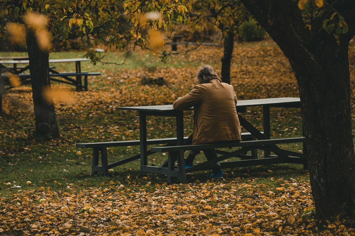 Thumbnail of We live inside minds always planning, scanning and narrating | Aeon Essays