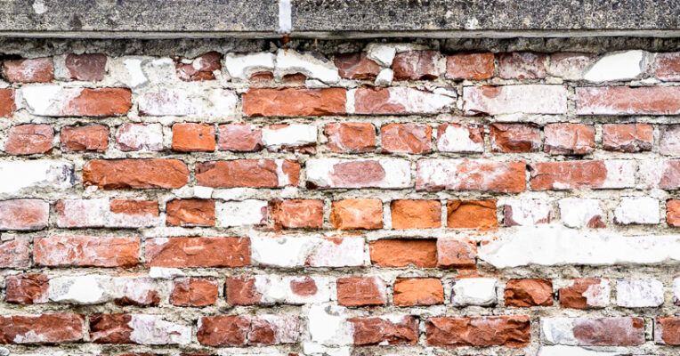 Thumbnail of The Purpose of Protocols