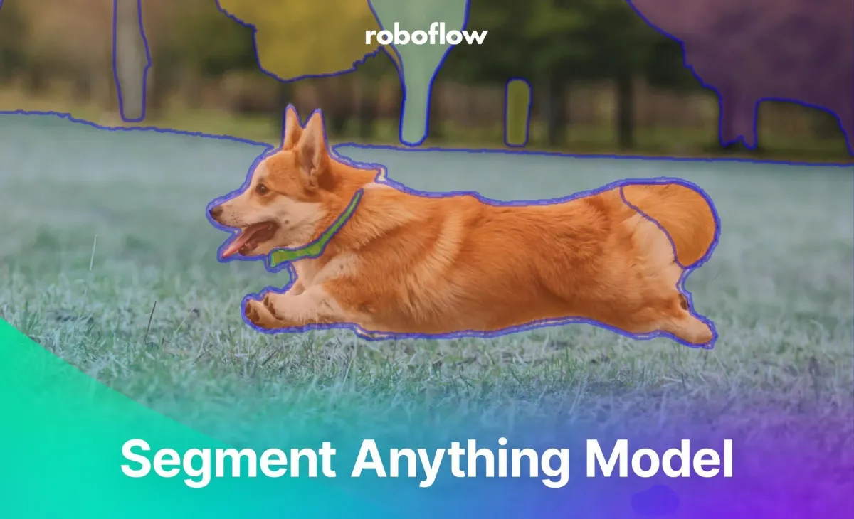 Thumbnail of How to Use the Segment Anything Model (SAM)