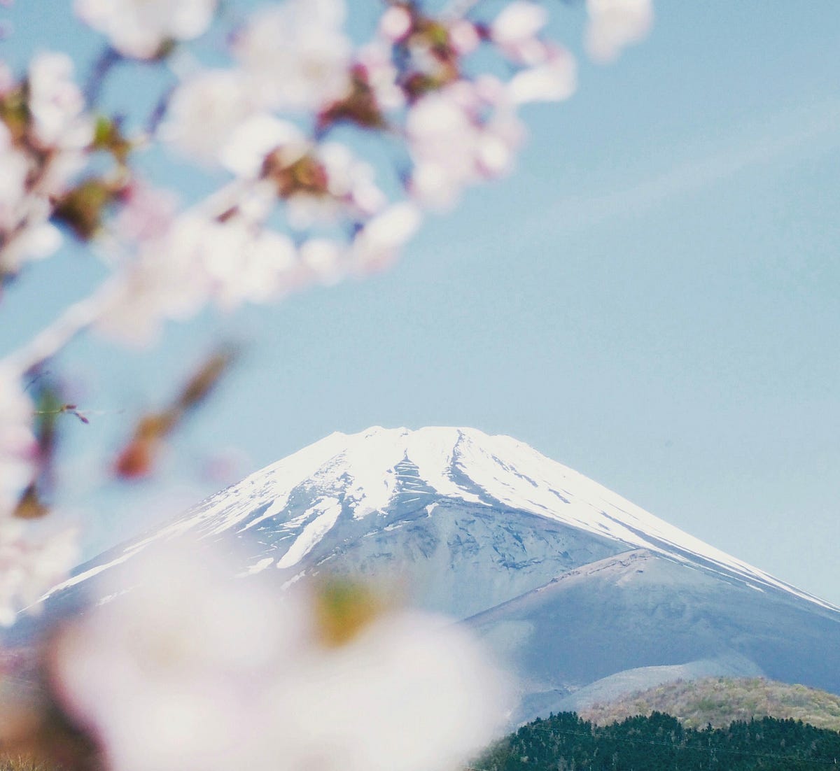 Thumbnail of 5 lesser-known Japanese concepts that have changed my life the most