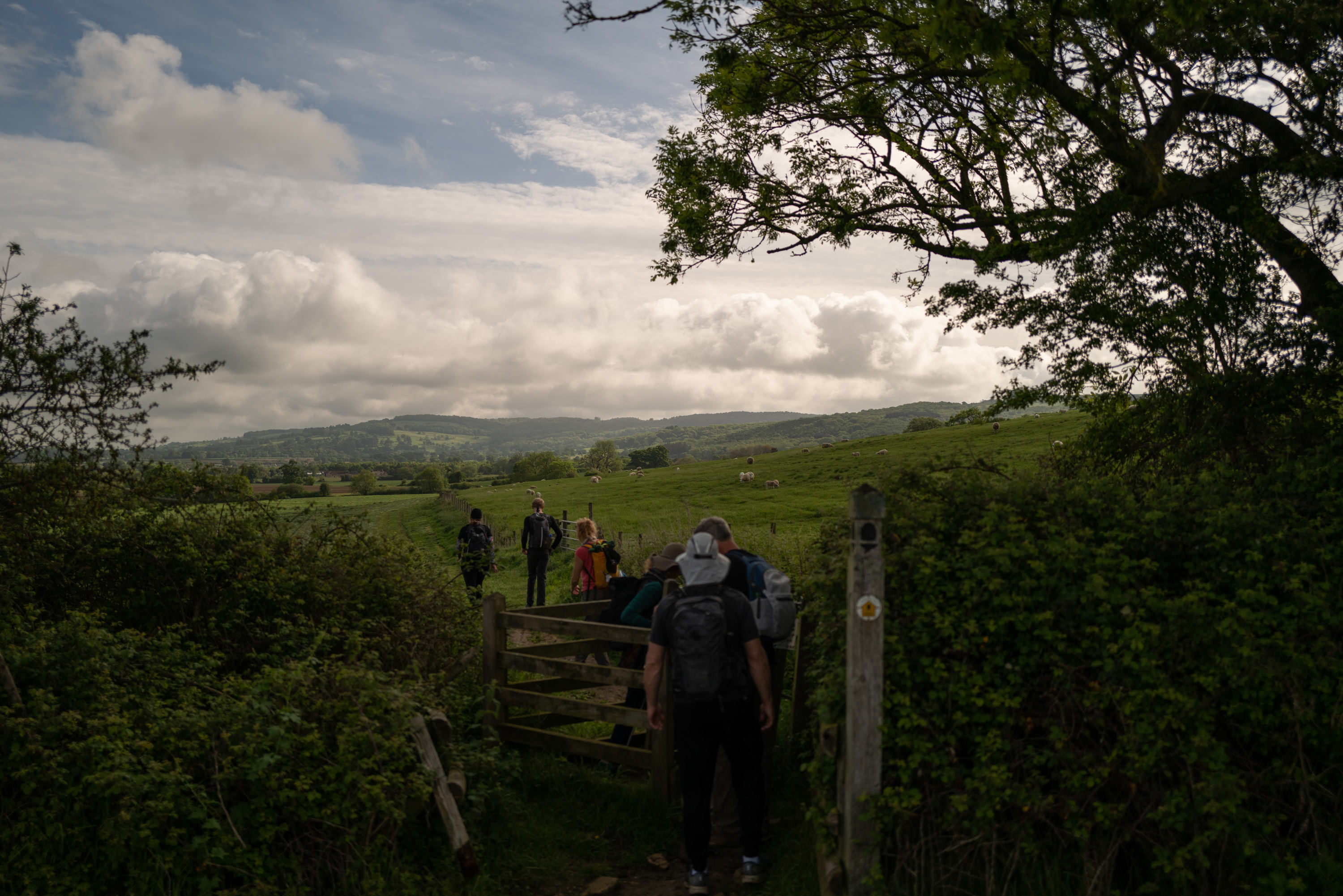 Thumbnail of Walking the Cotswolds, Walking Japan