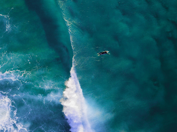 Thumbnail of How to Surf the Web in 2025, and Why You Should