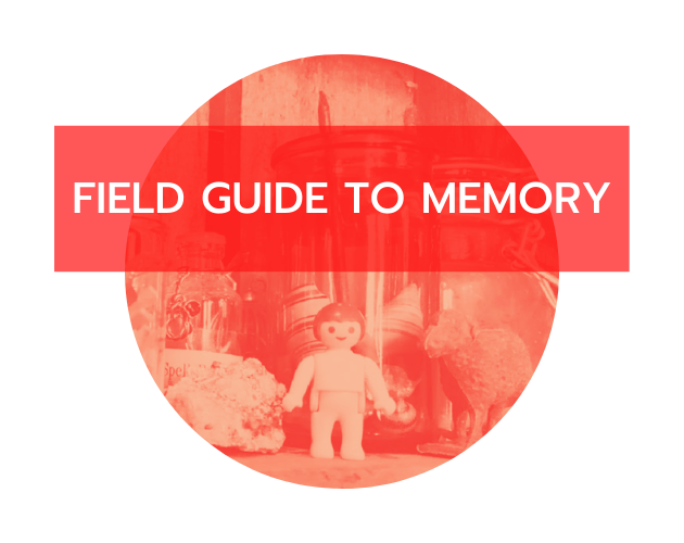 Thumbnail of Field Guide To Memory by jeeyonshim