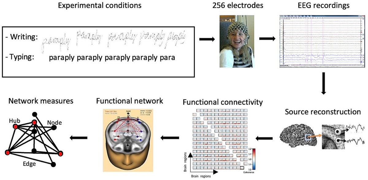 Thumbnail of Frontiers | Handwriting but not typewriting leads to widespread brain connectivity: a high-density EEG study with implications for the classroom