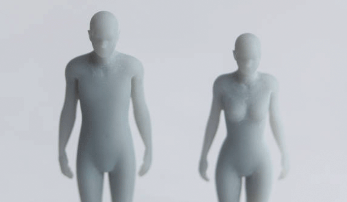 Thumbnail of Terms and Conditions for Occupying Your Flesh Prison