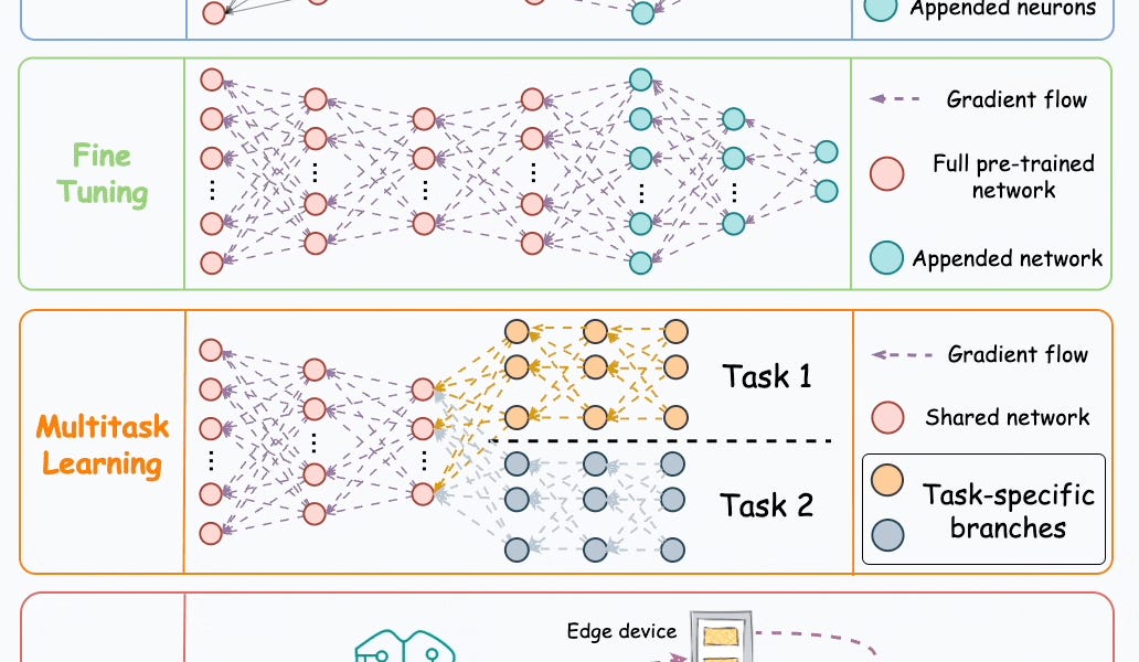 Thumbnail of Transfer Learning, Fine-tuning, Multitask Learning and Federated Learning
