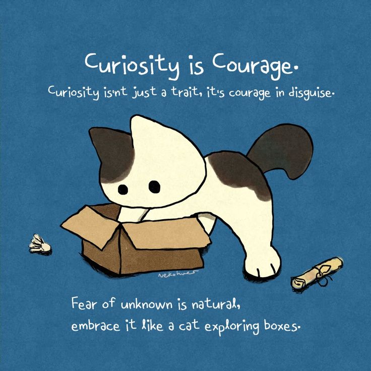 Preview of pin-88031367716605719