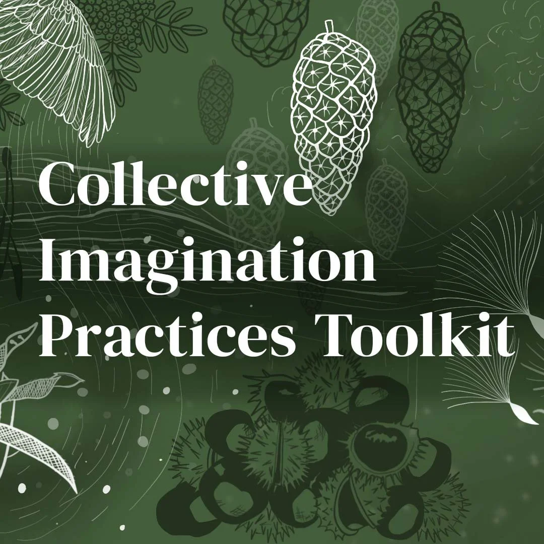 Thumbnail of About the Tookit — Collective Imagination Practices Toolkit