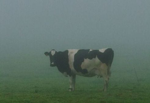 Thumbnail of Easiest thing