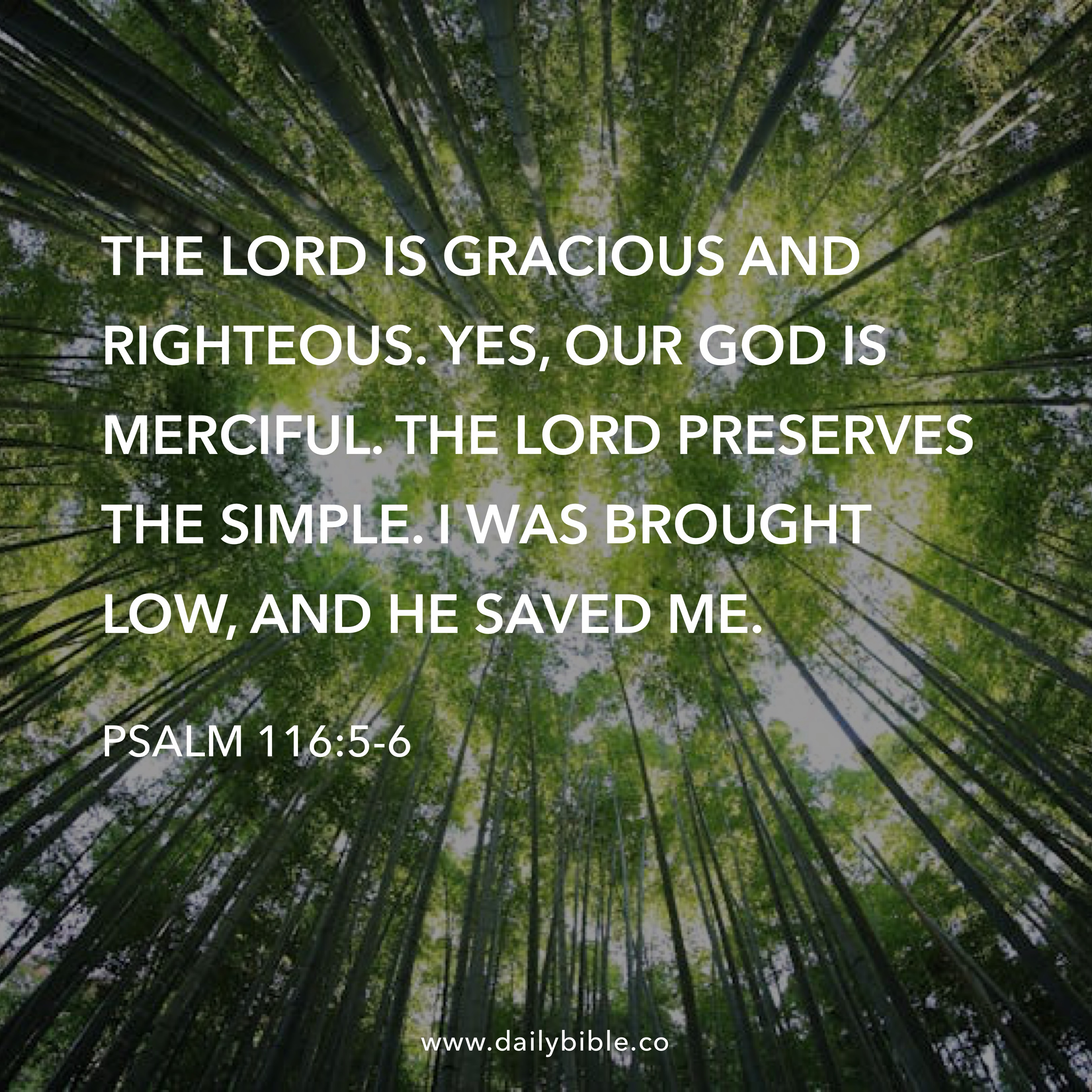 Preview of d0c6bfe4da0c-jpg