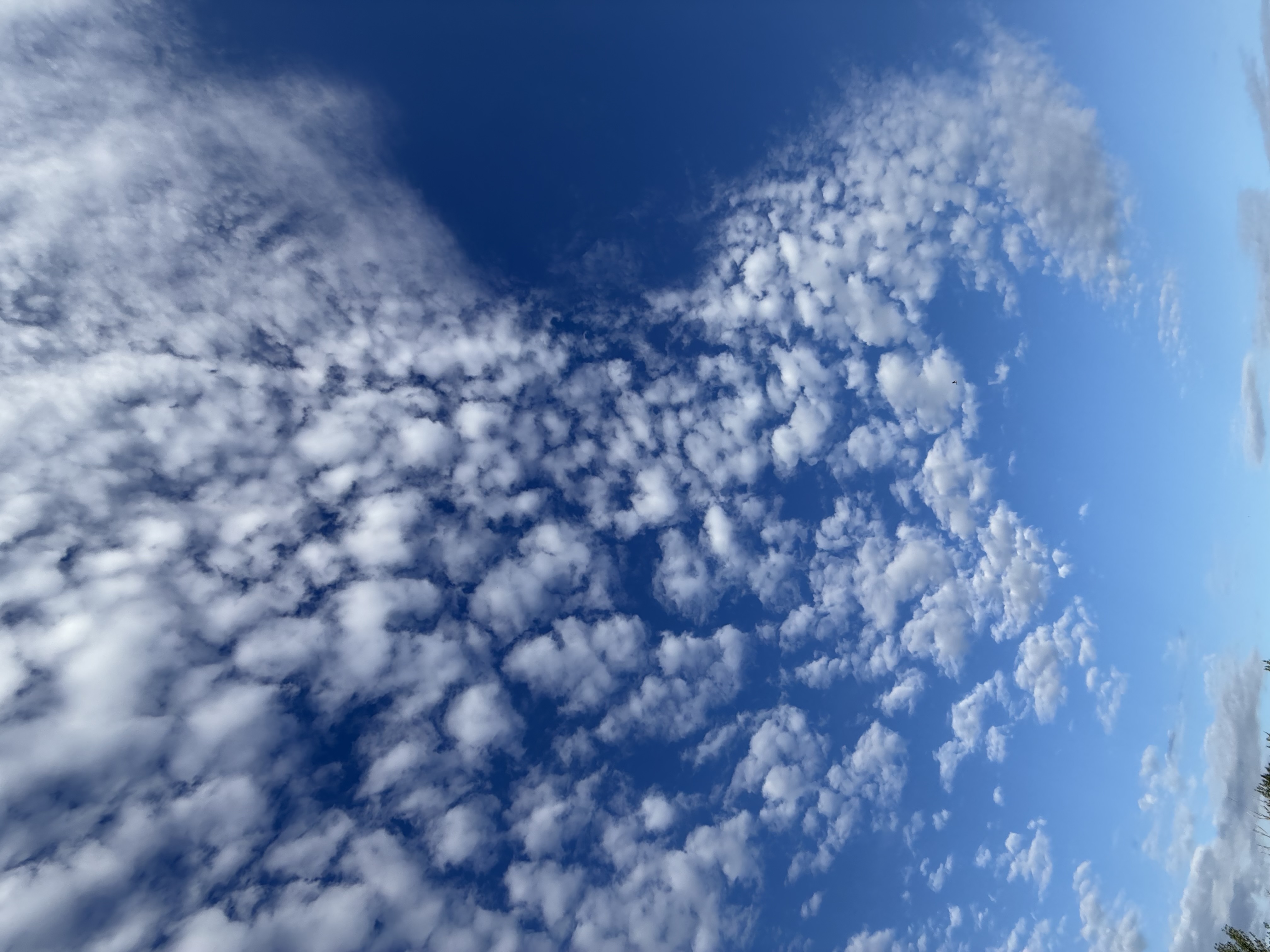 Preview of c852ca6453ba-jpeg