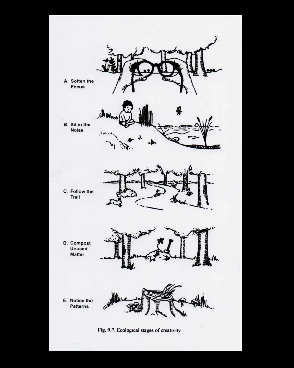 Thumbnail of Creativity is all around us