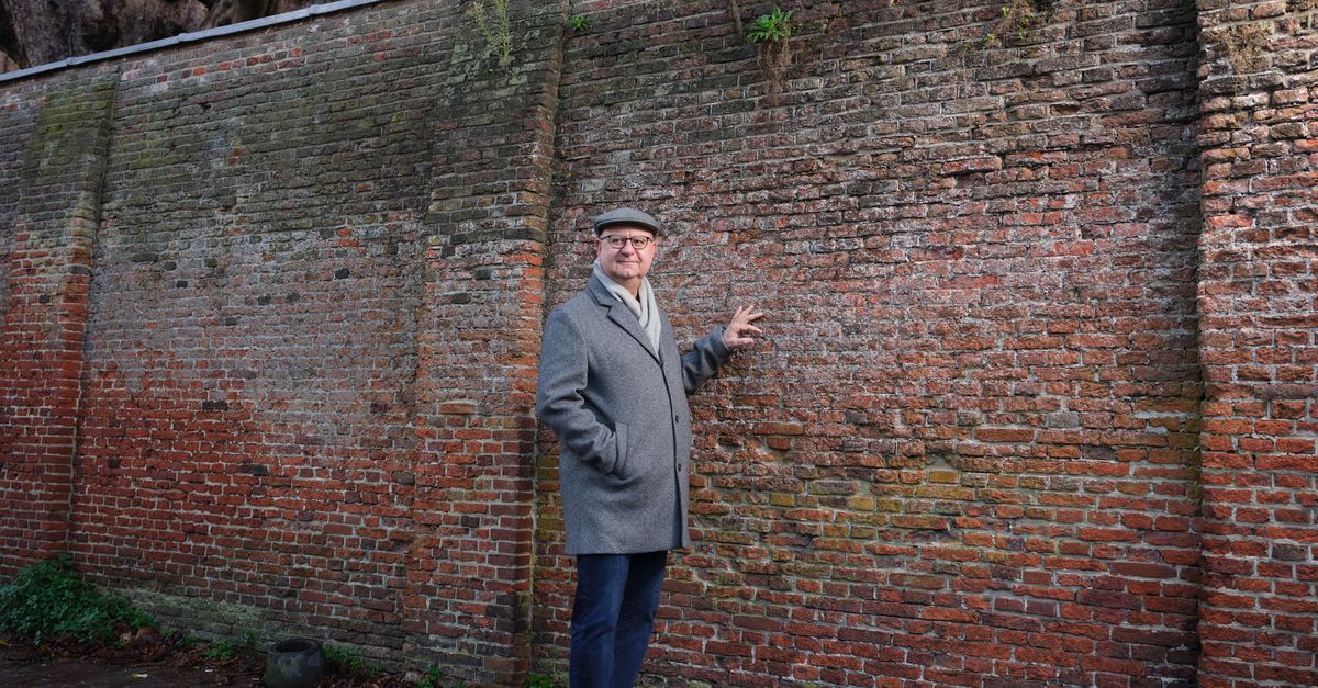 Thumbnail of Hoogleraar Palestijnse Studies: ‘De genocide in Gaza gaat gewoon door’