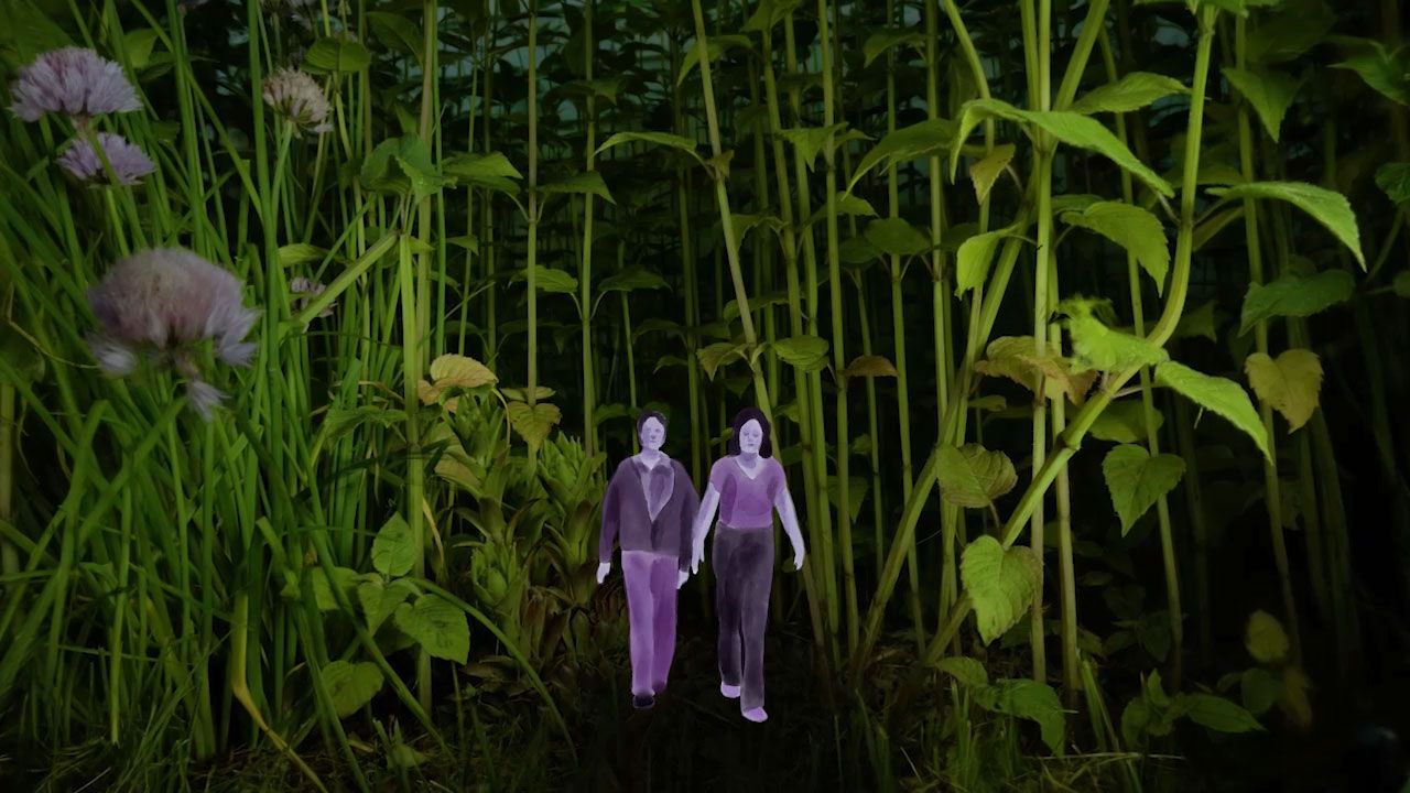 Thumbnail of A Mother and Her Trans Teen Decide to Leave the U.S.