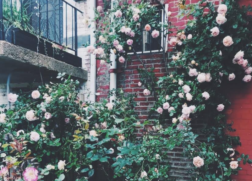 Thumbnail of It’s Okay to Outgrow the Life You Thought You Wanted