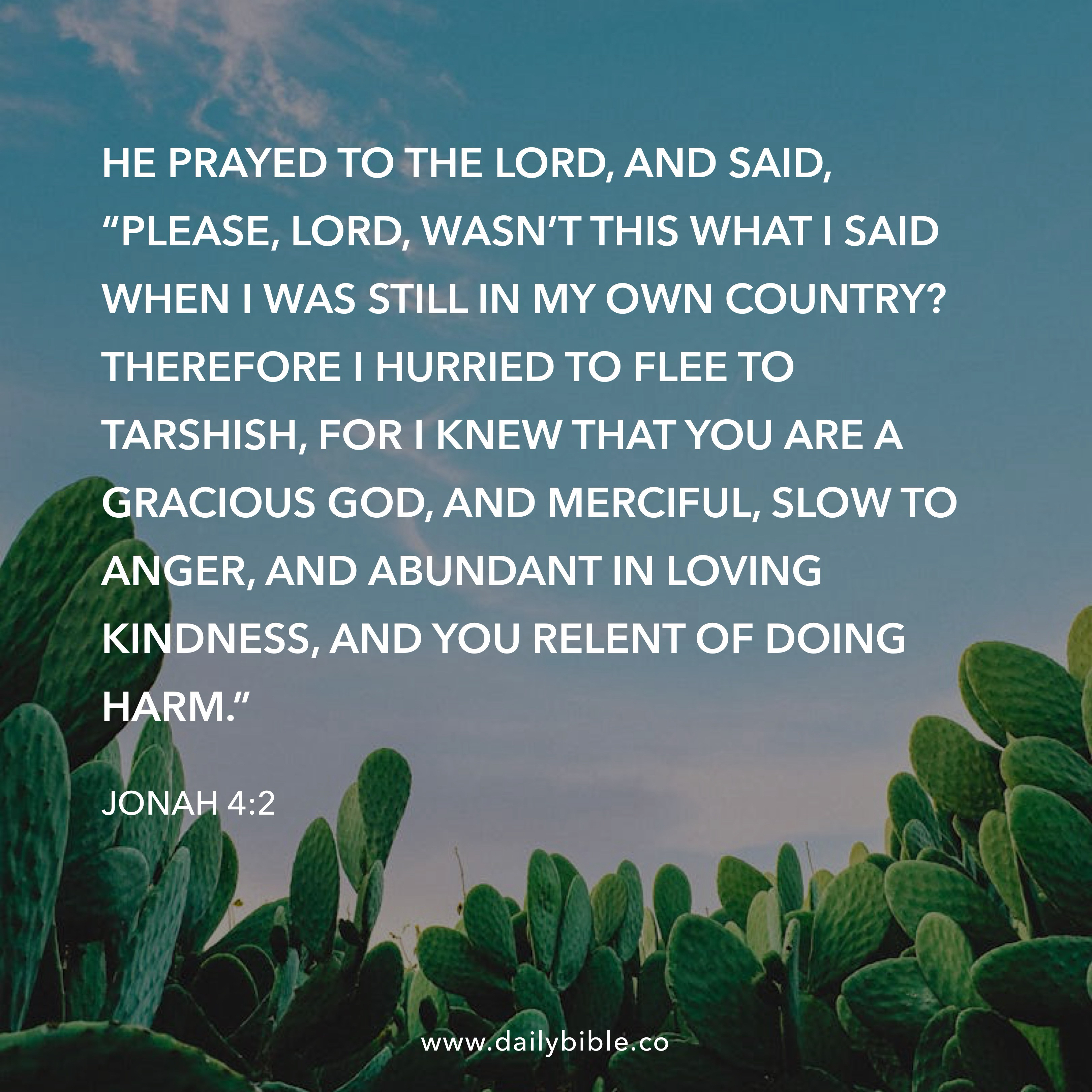 Preview of 3baf8a269f7b-jpg