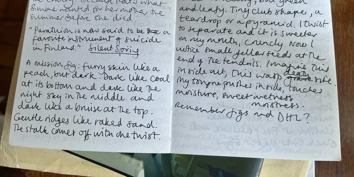 Thumbnail of Notes on Note-Taking