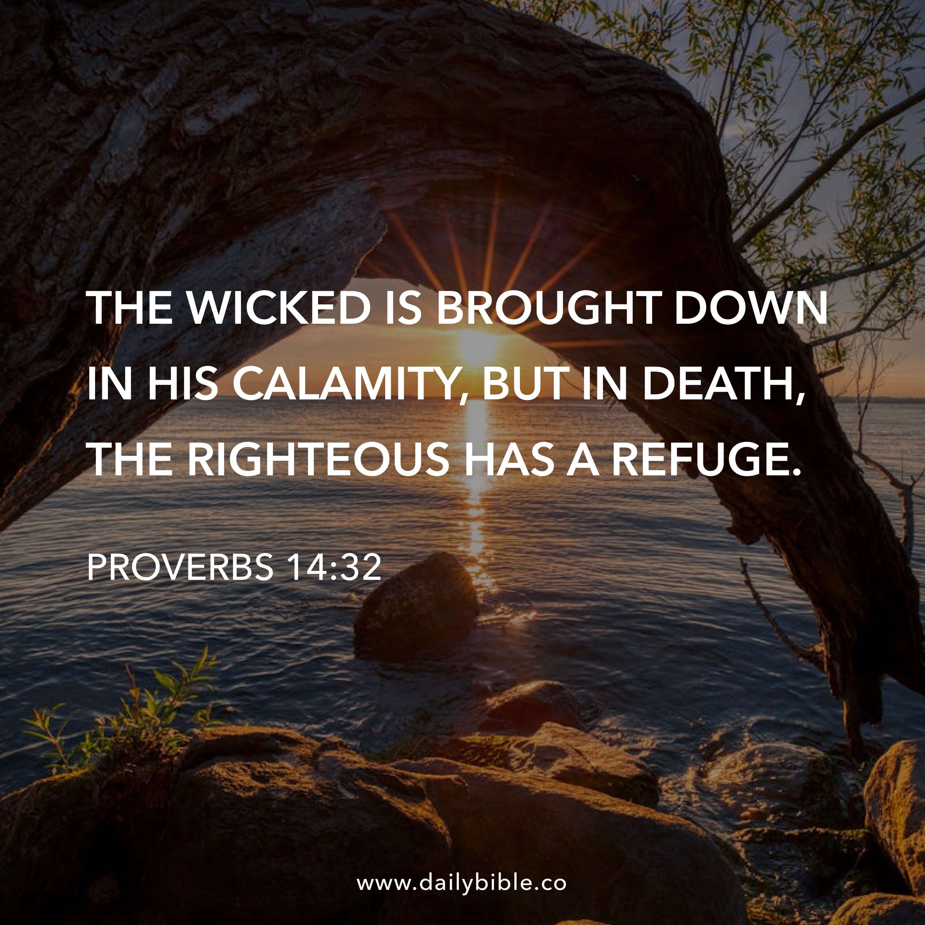 Preview of d105b0c3e494-jpg