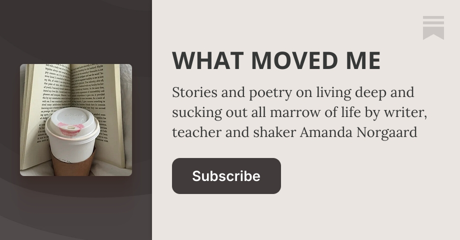 Thumbnail of WHAT MOVED ME | Amanda Norgaard | Substack