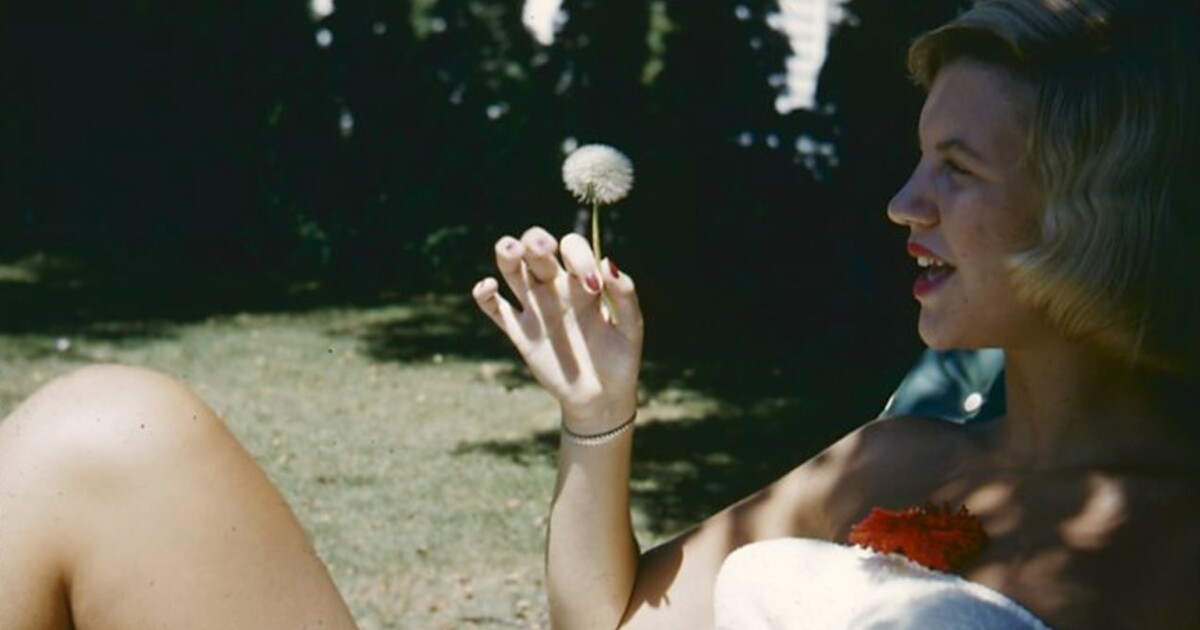 Thumbnail of Patricia Lockwood · Arrayed in Shining Scales: Solving Sylvia Plath