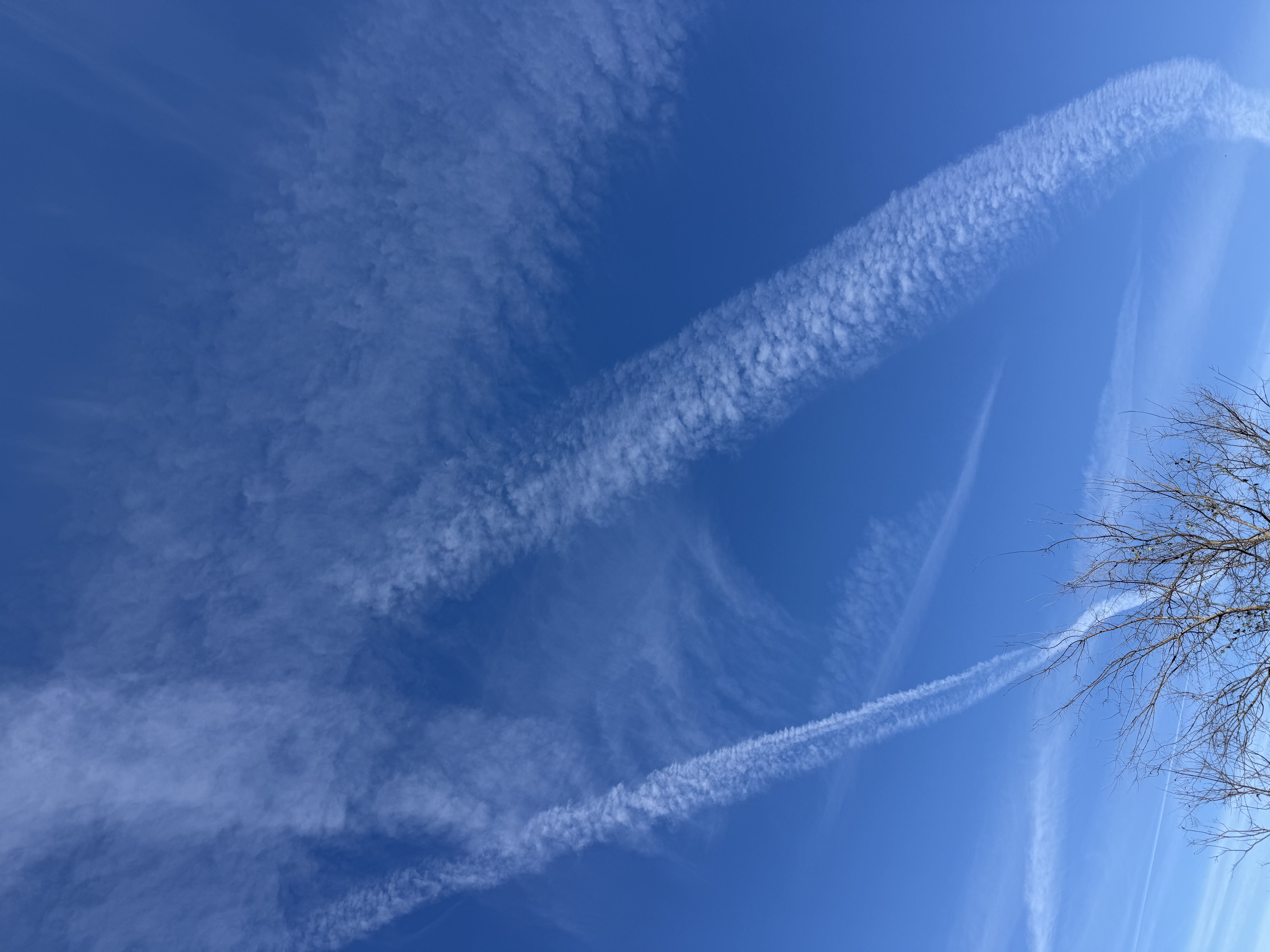 Preview of ccfcf91c1e42-jpeg