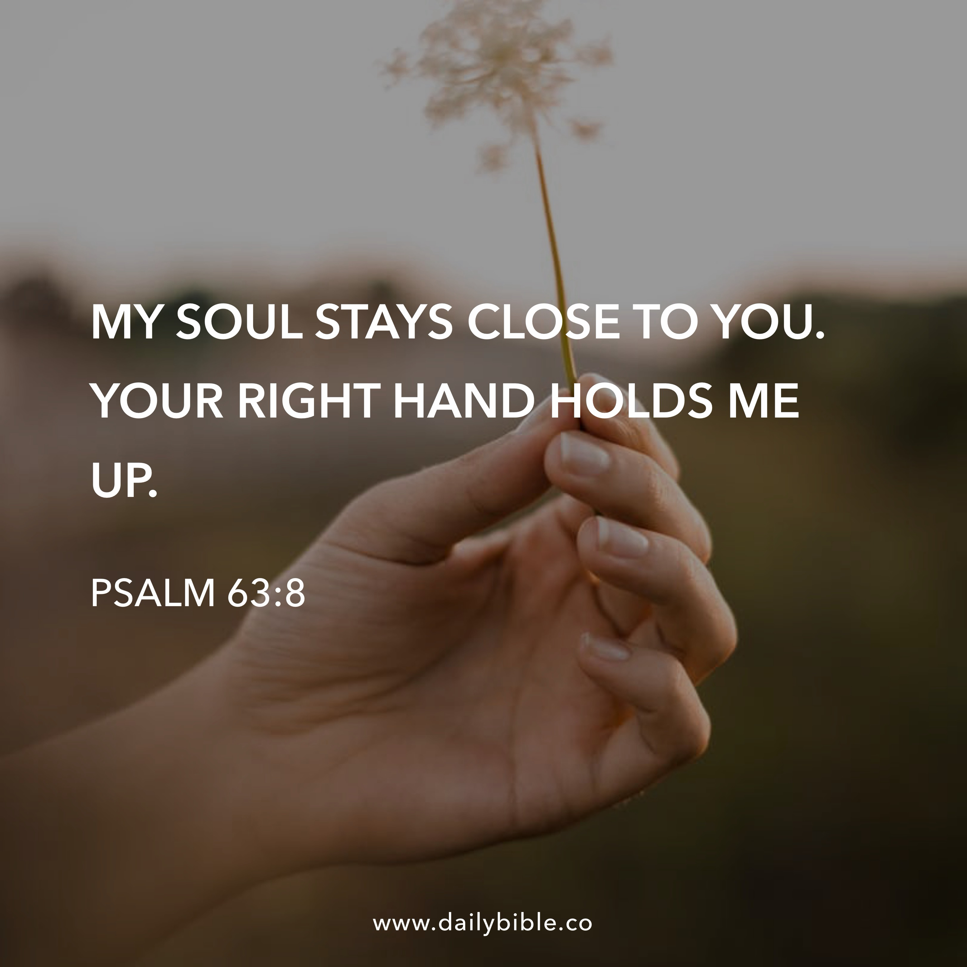 Preview of 748cc1fc70af-jpg