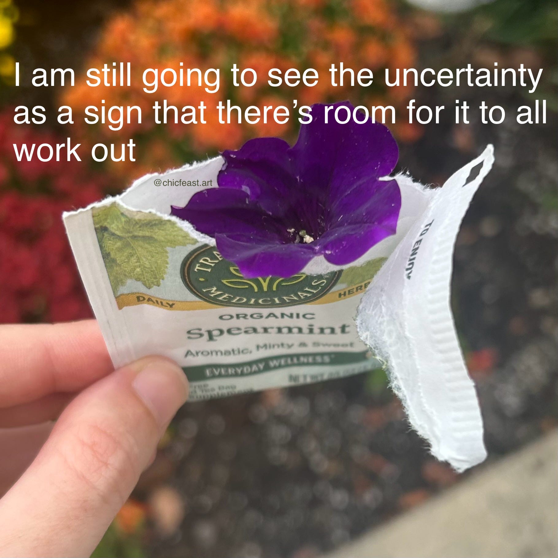 Preview of 1819x1819-jpeg-047a