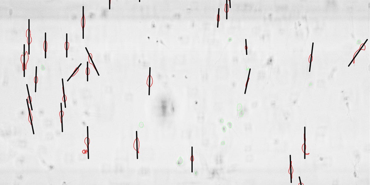 Thumbnail of Exclusive: Cracking The Only Engineering System That Has Ever Worked