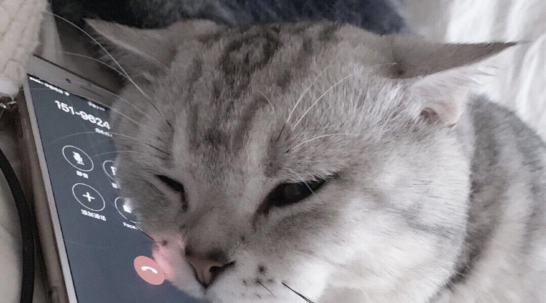 Thumbnail of why socialising drains you while everyone else seems fine