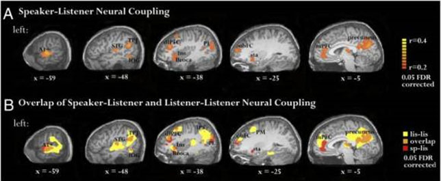 Thumbnail of The Science of Storytelling