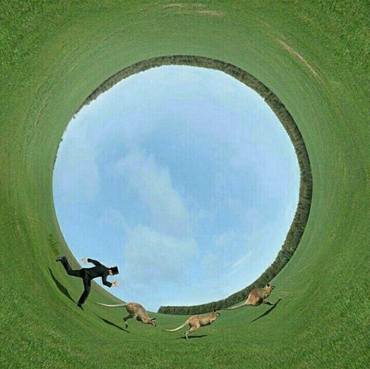 Preview of b9030b50b2571602923dc43e460ef7f3-jpeg