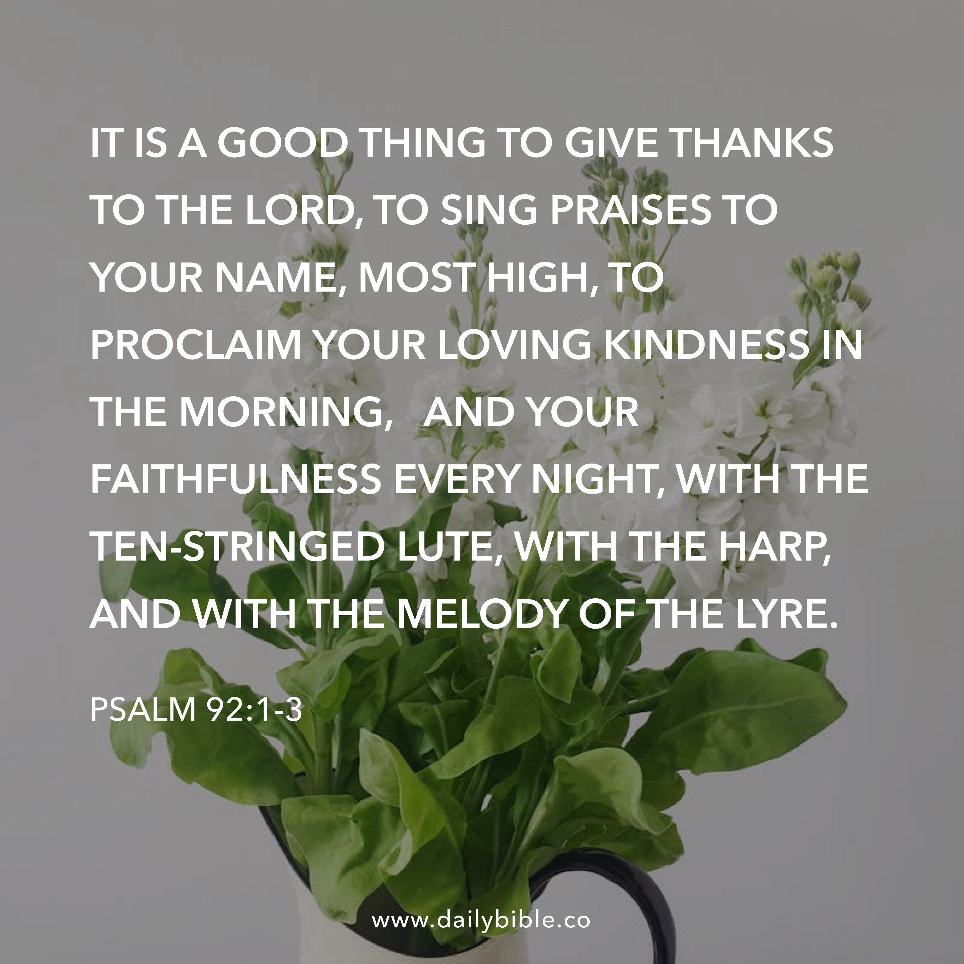 Preview of c91798ef615e-jpg