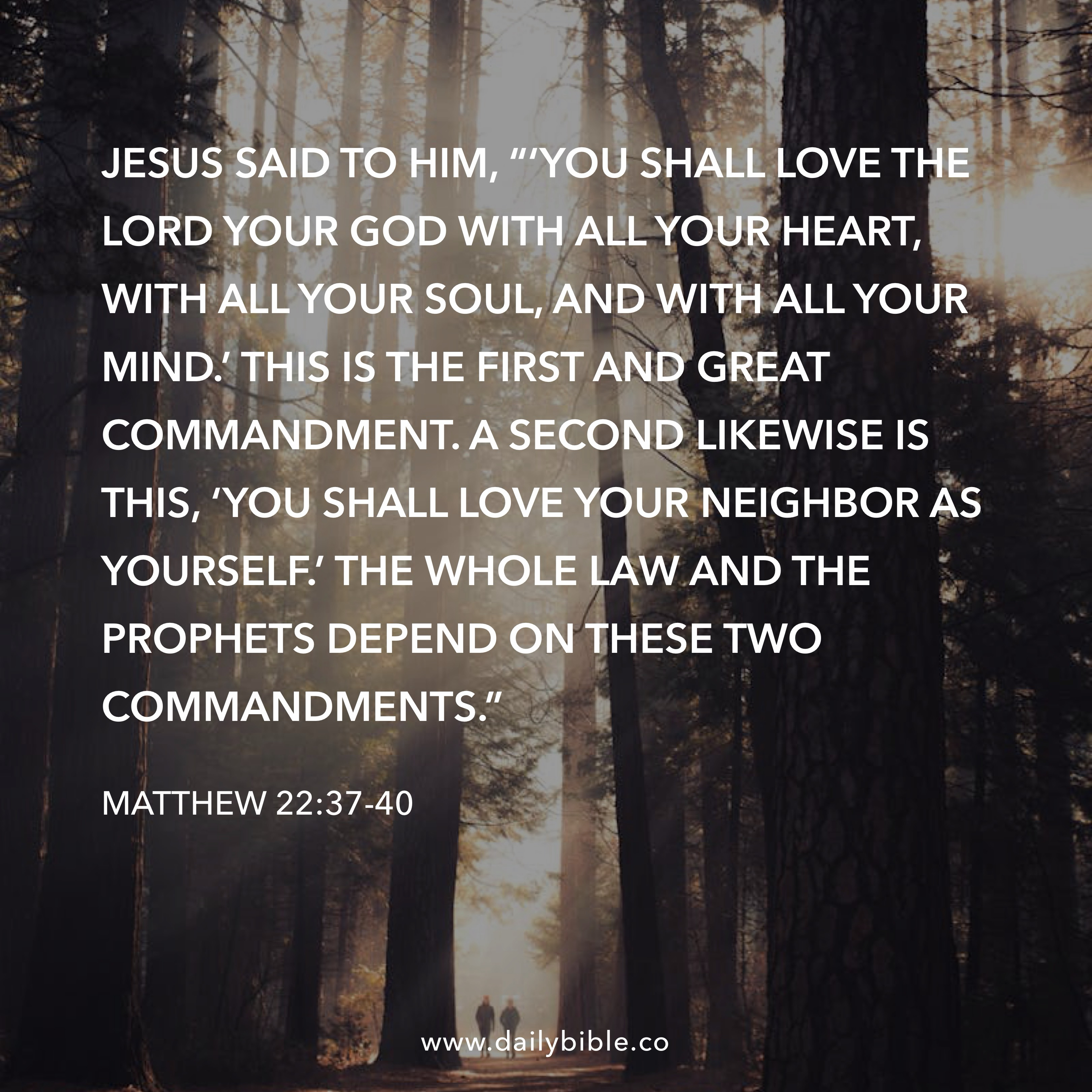 Preview of e4ac603ee0c9-jpg